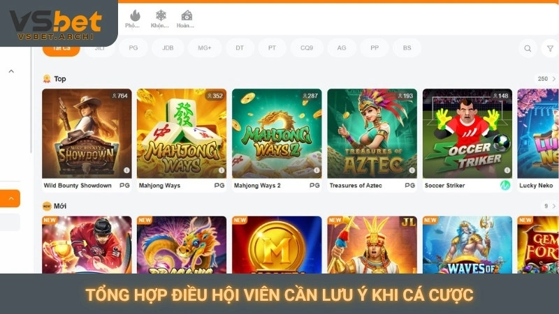 Cá cược có trách nhiệm: Chơi vui, an toàn tại nhà cái Vsbet 2 Tổng hợp điều hội viên cần lưu ý khi cá cược