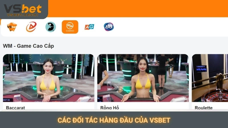 Các đối tác hàng đầu của Vsbet