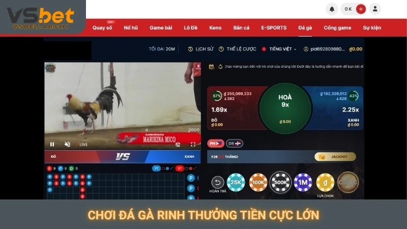 Đá gà cựa dao Philippines Vsbet: Trận đấu tốc độ cao 4 Chơi đá gà rinh thưởng tiền cực lớn