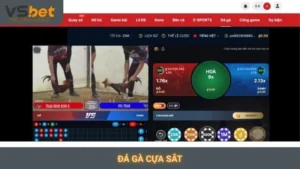 Đá gà cựa sắt Vsbet