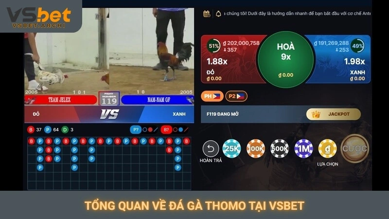 Đá gà Thomo trực tiếp Vsbet: Các trận cầu kinh điển 2 Tổng quan về đá gà Thomo tại Vsbet