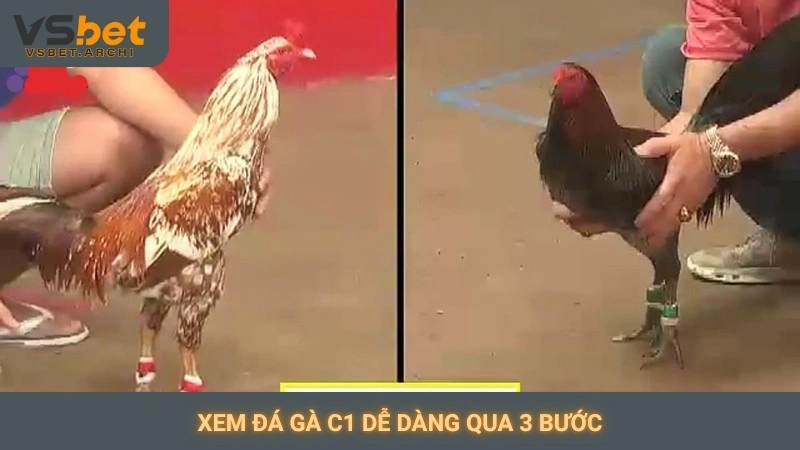 Đá gà C1 trực tiếp Vsbet: Video sắc nét, không giật lag 4 Xem đá gà C1 dễ dàng qua 3 bước