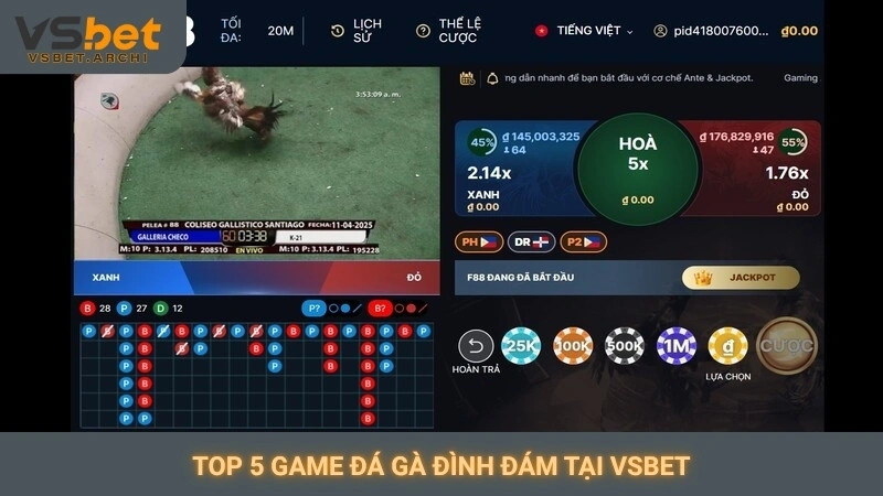 Top 5 game đá gà đình đám tại Vsbet