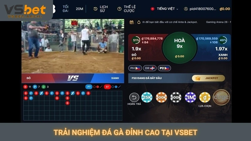 Trải nghiệm đá gà đỉnh cao tại Vsbet