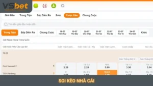Soi kèo nhà cái Vsbet